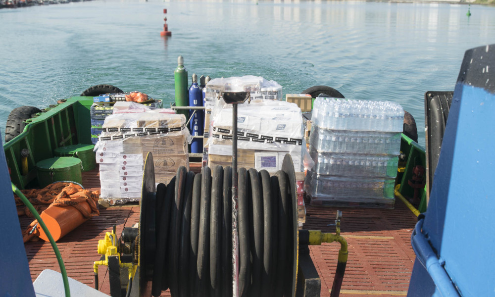 san-francisco-6-1000x600